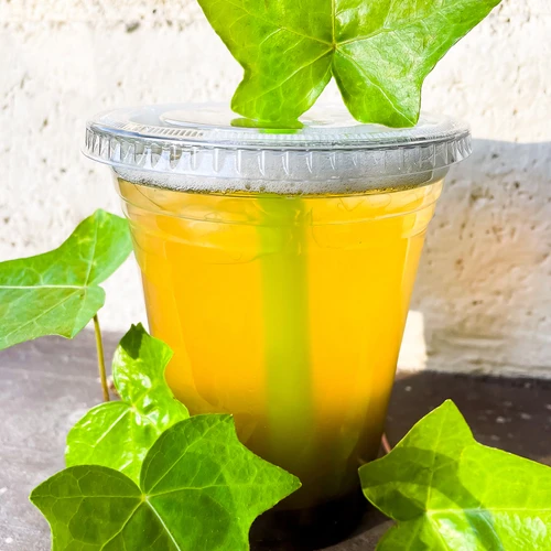Sencha Superior