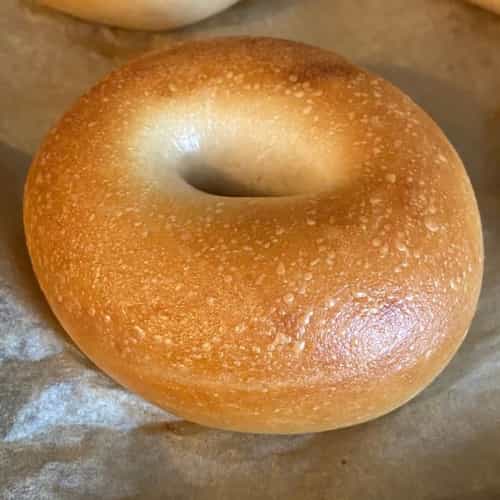 Bagel
