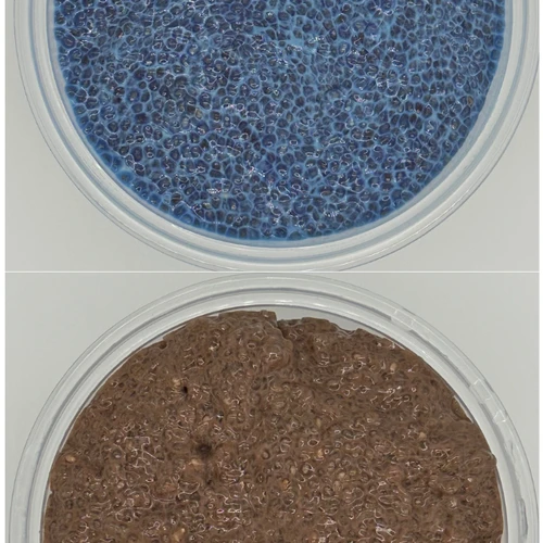Plain Chia