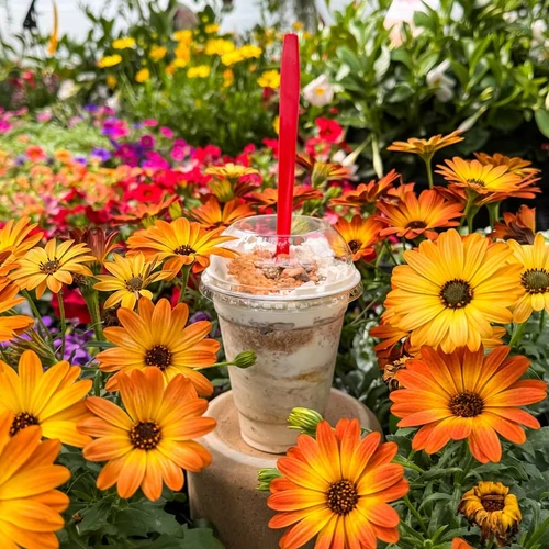 Specialty Flurry