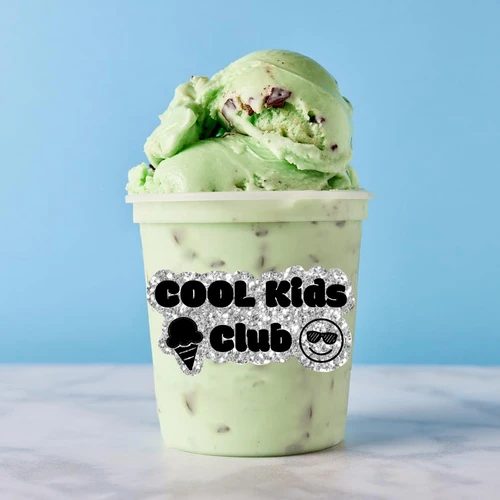 Non-Alcoholic Mint Chip Ice Cream