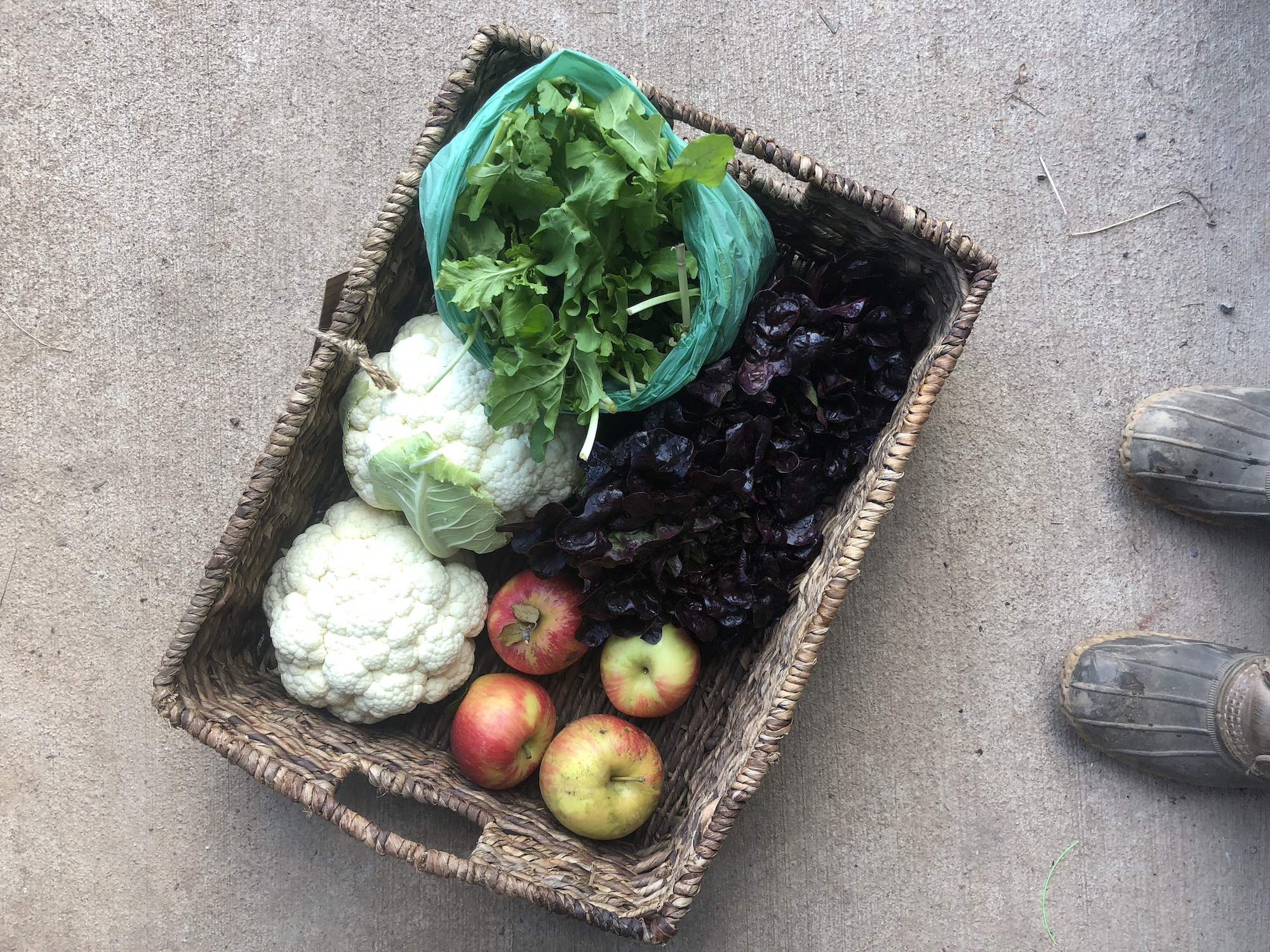 One Acre Farm on CSAs, education, and feeding a community