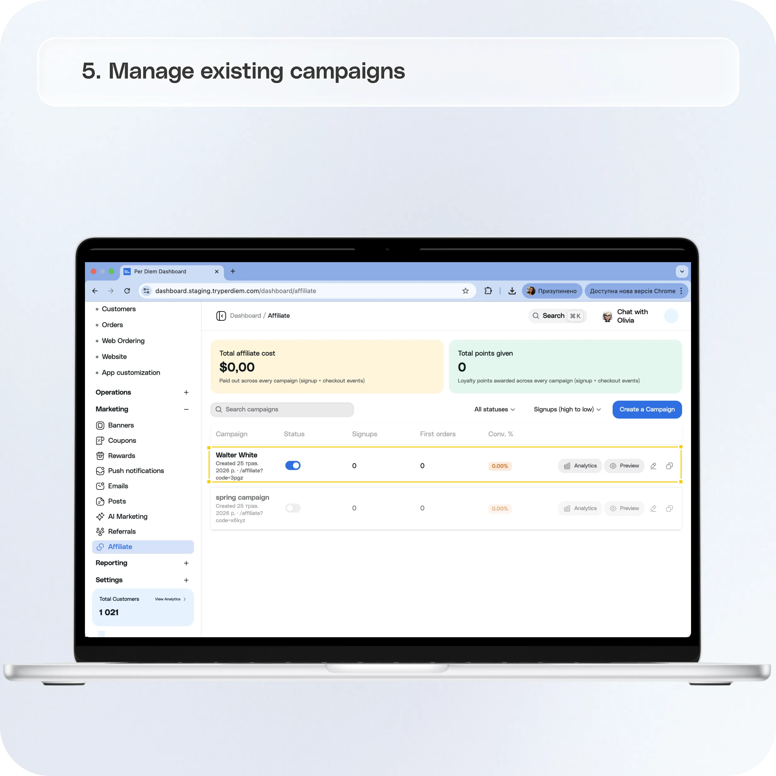 How to Create Affiliate Marketing Campaigns in Per Diem — screenshot 5 of 5
