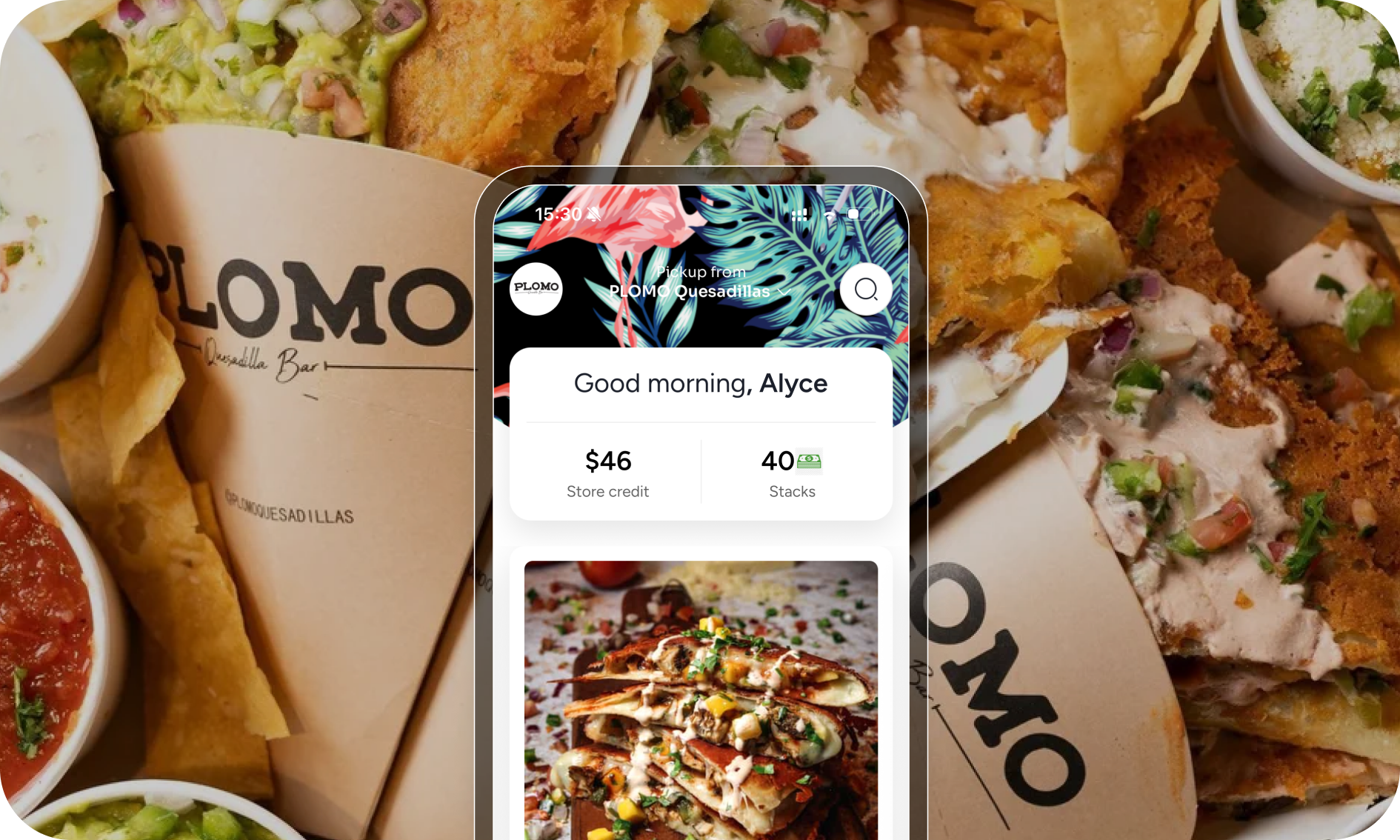 Plomo Quesadillas