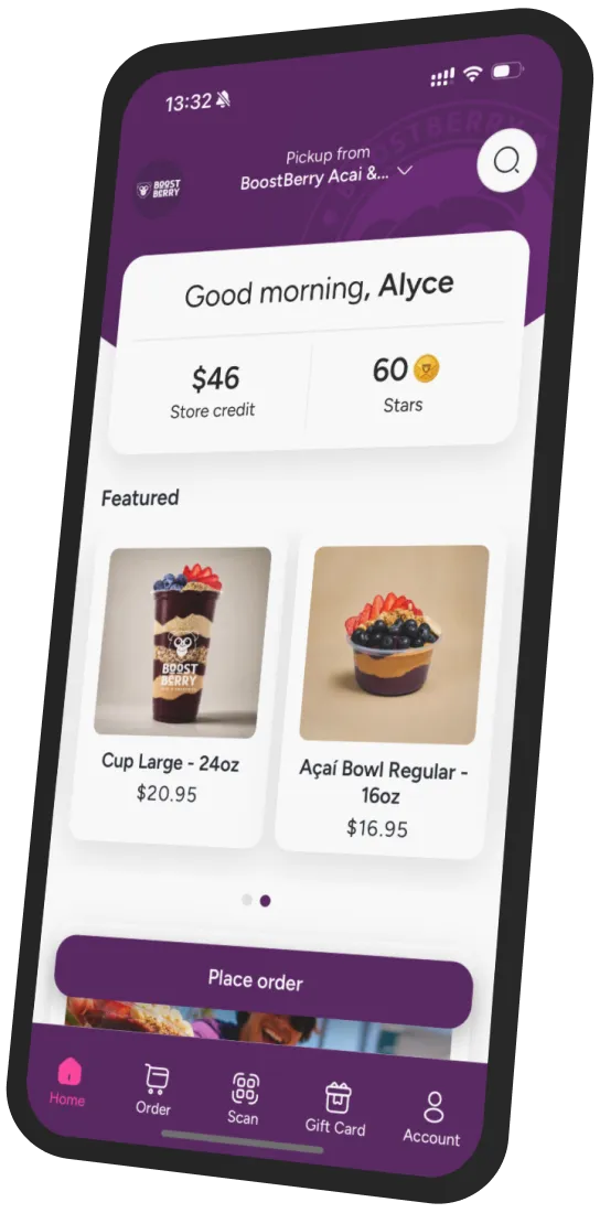 BoostBerry app preview