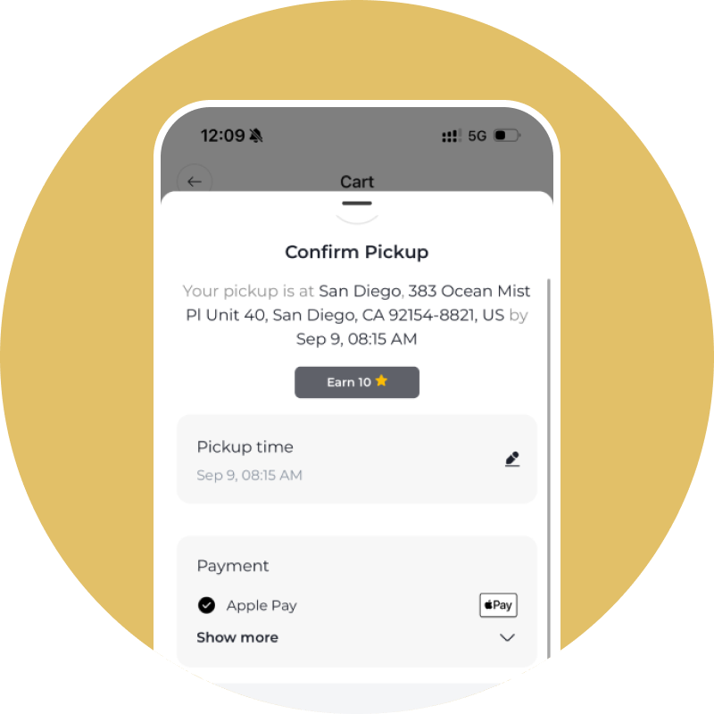 💳 Pay with Apple Pay 