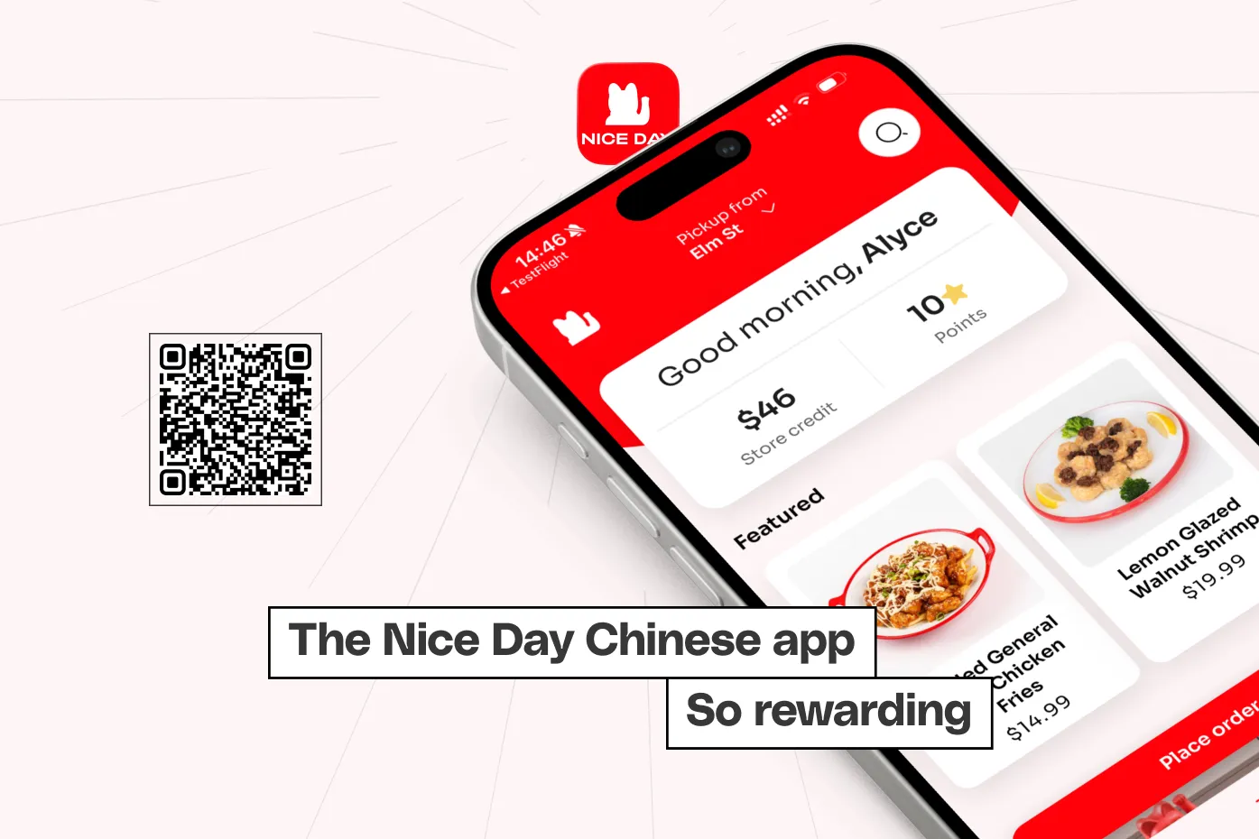 Nice Day Chinese