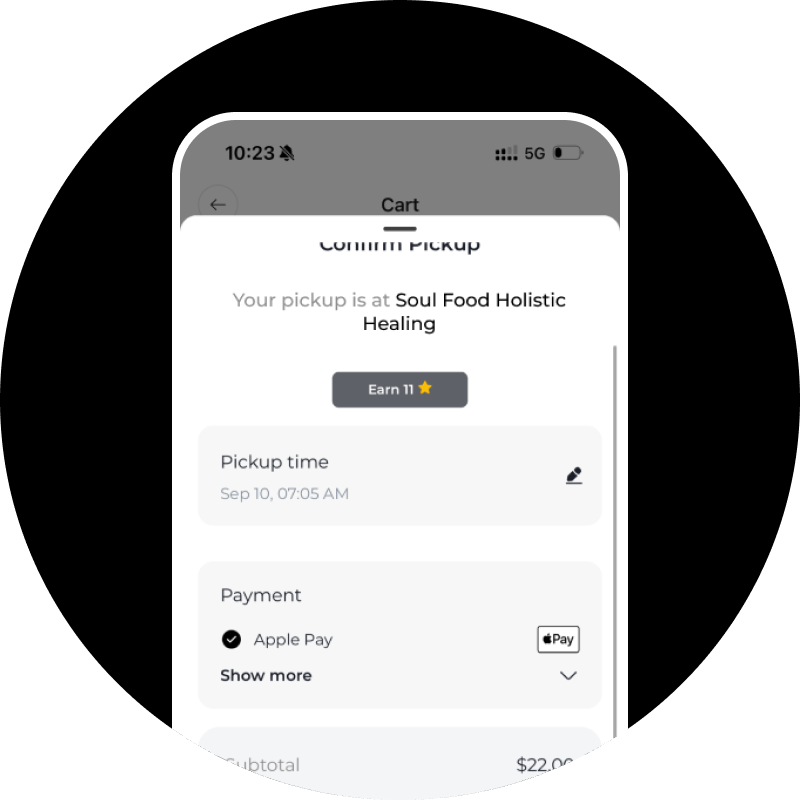 💳 Pay with Apple Pay 