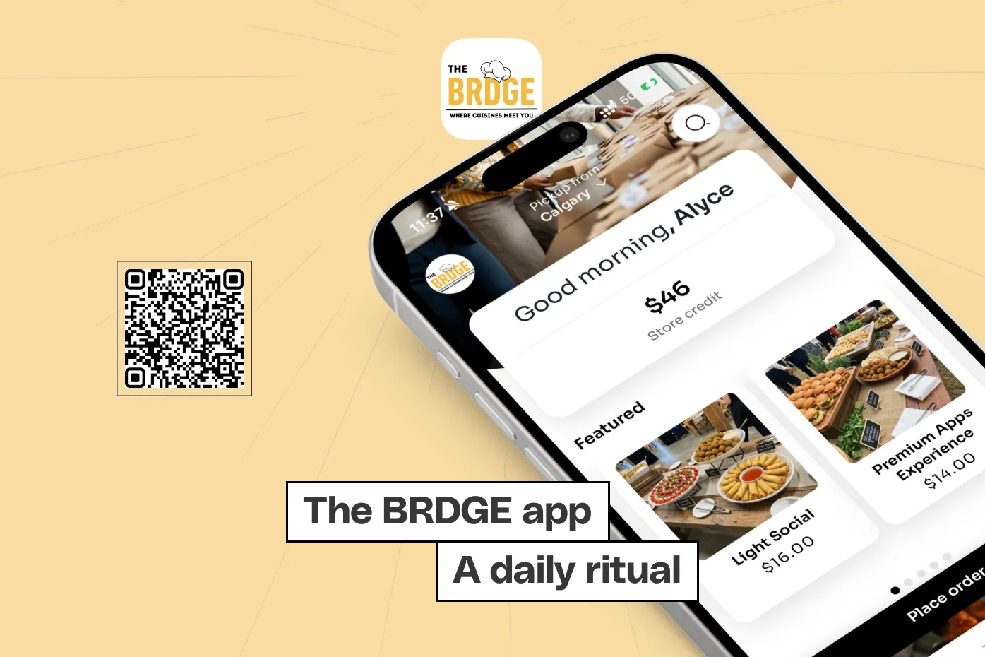 The BRDGE
