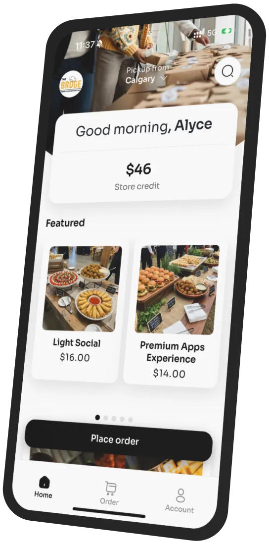 The BRDGE app preview